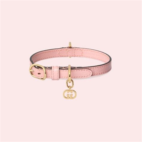 gucci extra small pet collar